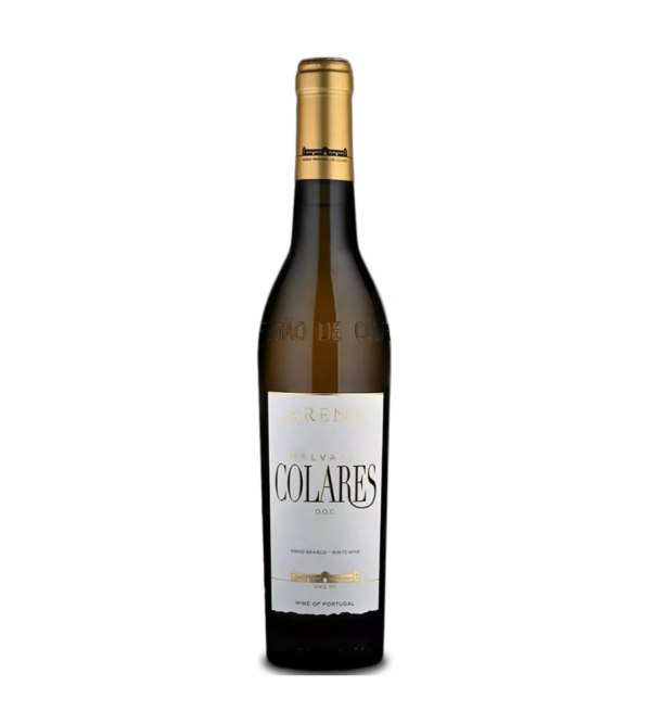 2021 Arenae Malvasia Branco