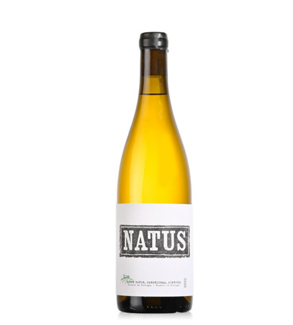 2022 Natus Branco