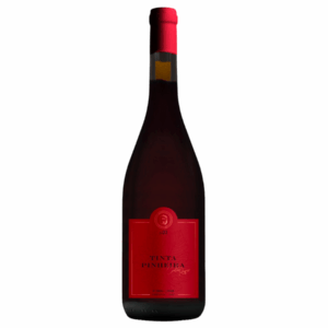 2023 Carlos Raposo Tinta Pinheira Tinto