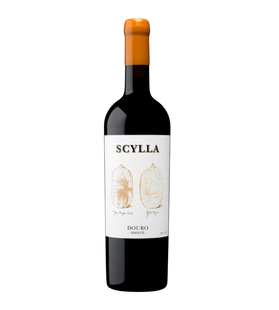 2019 Scylla Ânfora Tinto