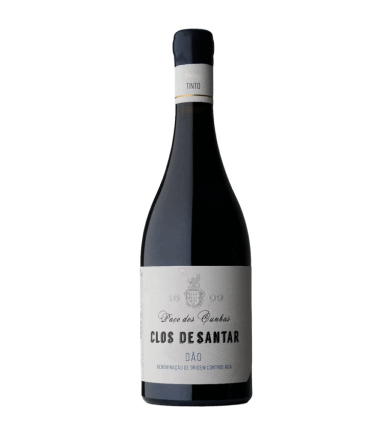 2020 Clos de Santar Tinto