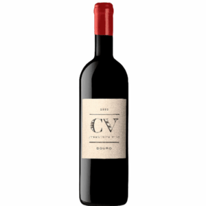 2022 Curriculum Vitae Tinto