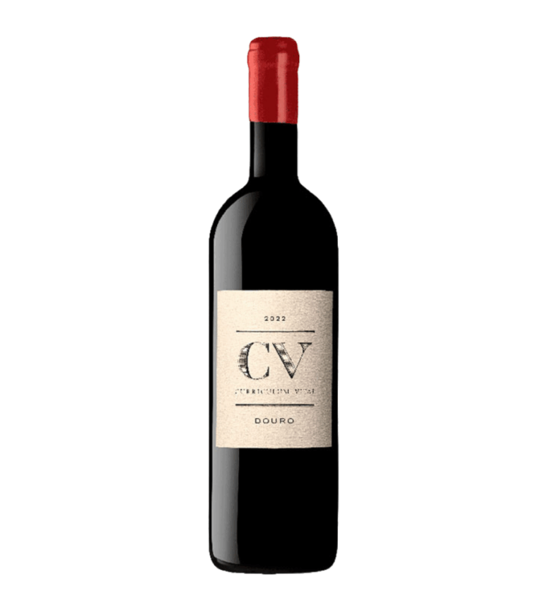 2022 Curriculum Vitae Tinto