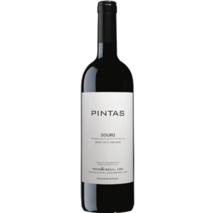 2022 Pintas Tinto
