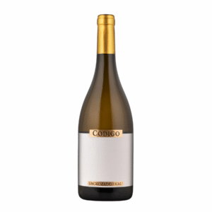 2024 Código Encruzado Branco